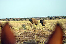 Zambia-Zambia-Shiwa Ngandu Deluxe Horse Safari